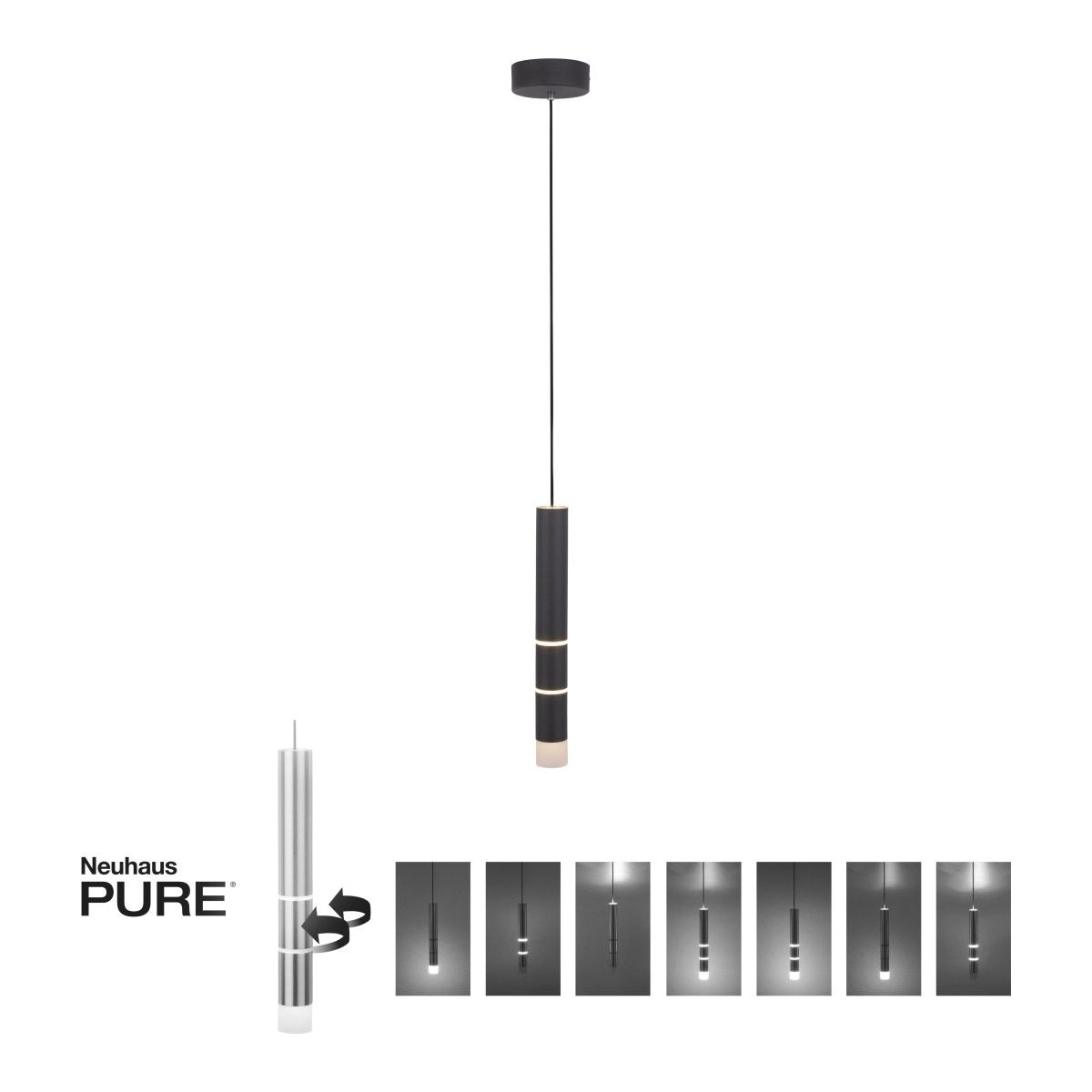 Paul Neuhaus-PURE-VEGA-2211-18-PLN2211-18