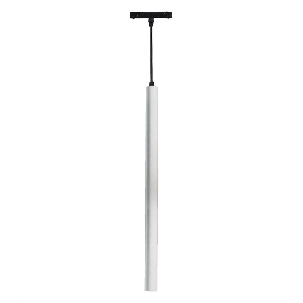 Zambelis-MAGNETIC-2081-WD-ZAM2081-WD