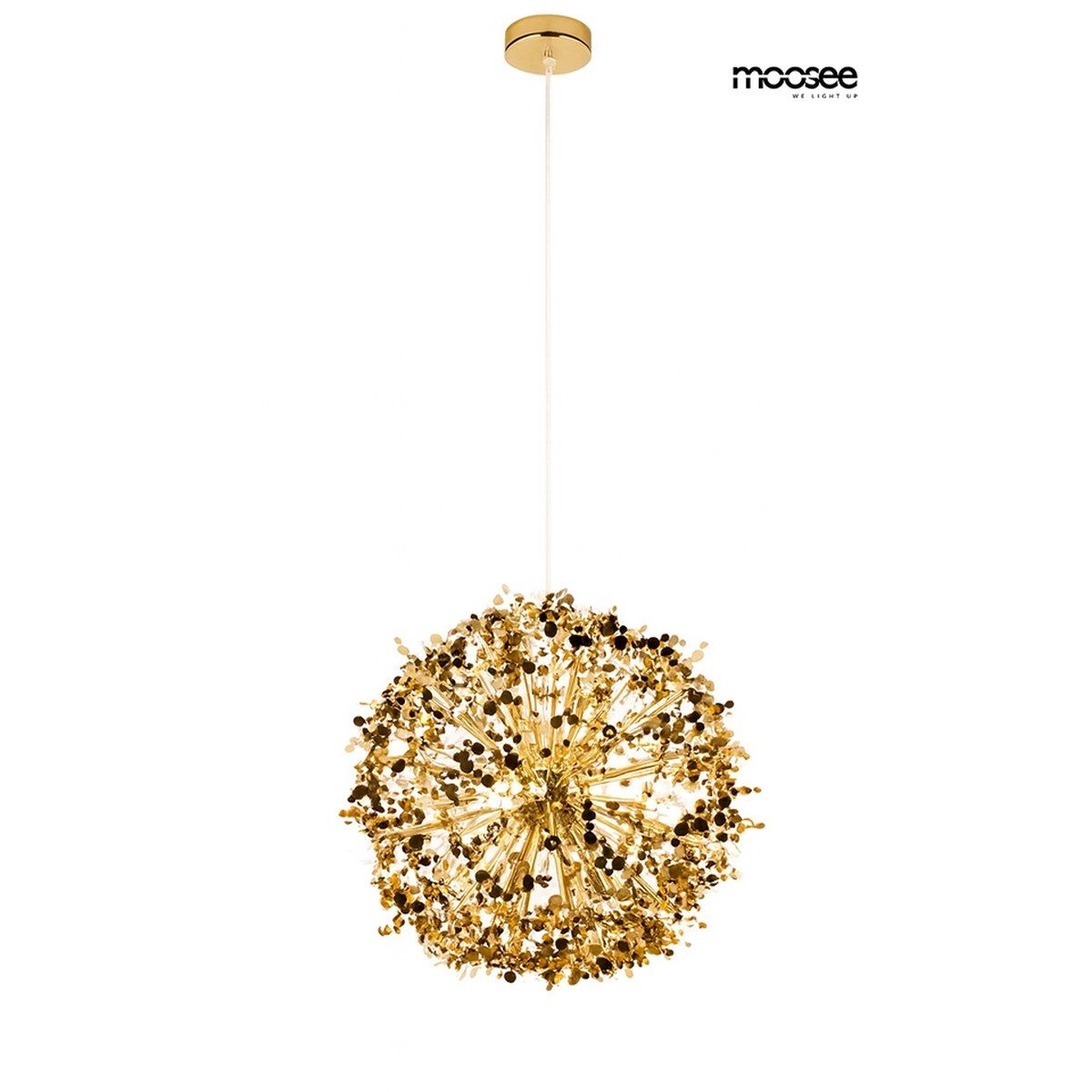 King Home-MONETE-MSE1501100580-KNGMSE1501100580
