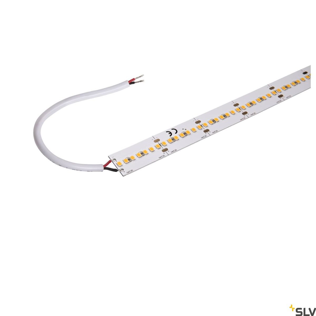 SLV-GRAZIA-1004720-SPL1004720