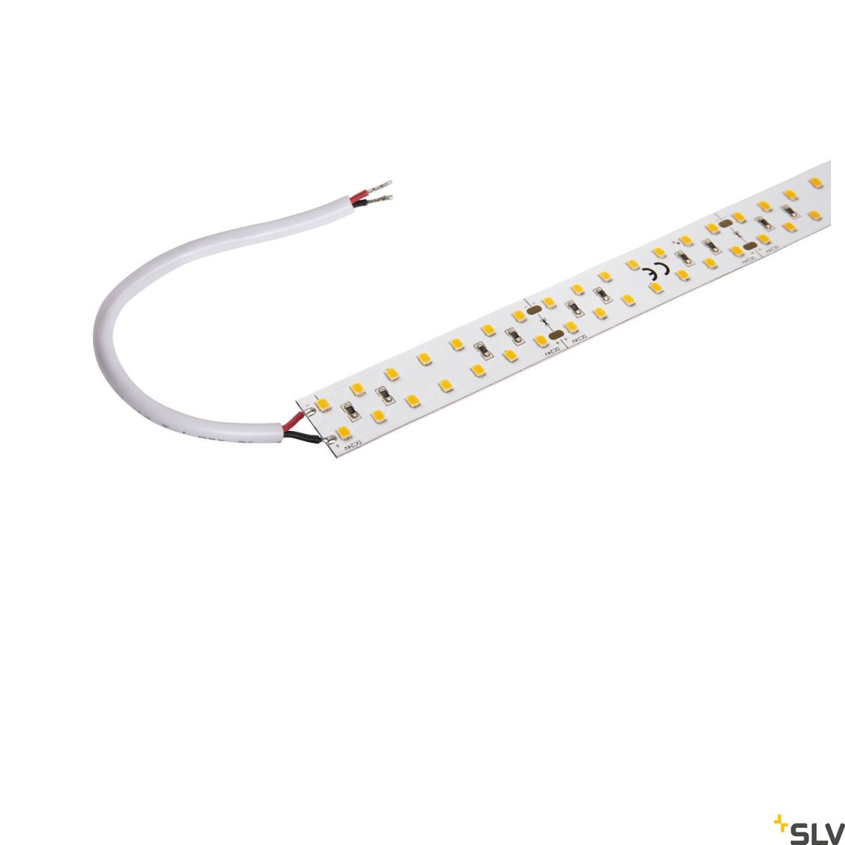 SLV-GRAZIA-1004722-SPL1004722