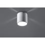Sollux INEZ SL.0355 Opbouwspot 1x40W/G9