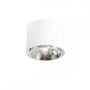 Aldex BOT 1046PL_G Spot en saillie 1x35W/GU10/ES111