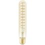 Eglo VINTAGE LED 110202 Ampoule 1x4W/E27 1600K 180LM