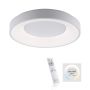 Paul Neuhaus ANIKA 14326-16 Plafonnier 1x26,5W/LED CCT 2700K-5000K 1900LM IP20
