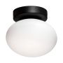 Zuma Line OMI 1188 Plafondlamp 1x5W/G9 IP20