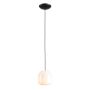 Aldex FLASK ORCHID S 8500G1_S Hanglamp 1x10W/E14