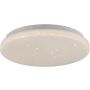 Paul Neuhaus URANUS 14275-16VE Plafondlamp 1x12W/LED 3000k 1375lm ip20