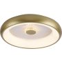 Paul Neuhaus VERTIGO 14384-60 Lampe de plafond 1x29W/LED 2700-5000k 1400lm ip20