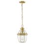 Cosmolight WHITLEY P01064AU Hanglamp 1x60W/E27 ip23