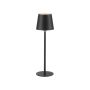 Paul Neuhaus BOTERIA 19251-18 Tafellamp 1x2,5W/LED 3000K 180lm IP20