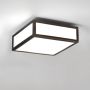 Astro Lighting MASHIKO 1121056 Plafondlamp 1x60W/E27 IP44