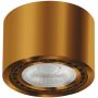 AZzardo ECO ALIX AZ3496 Opbouwspot 1x35W/GU10/ES111 IP20