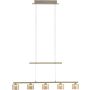 Paul Neuhaus HYDRA 2209-60 Suspension lumineuse 5x23W/LED 3000k 2700lm ip20