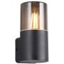 Trio HOOSIC 224060132 Wandlamp 1x28w/e27 ip44
