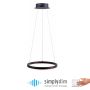 Paul Neuhaus TITUS 2381-13 Suspension lumineuse 1x31W/LED ip20