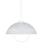 Prezent ALBERT 23068 Hanglamp 1x60W/E27 IP20