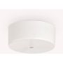 Ideal Lux ROSONE 244235 Rozet