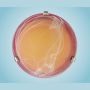 Eglo SAMOA 27883 Plafonnier 1x60W/E27