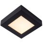 Lucide BRICE-LED 28117/17/30 Lampe de plafond 1x15w/led 3000k 800lm ip44