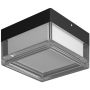 Italux Nefis PLF-53628-BK Plafondlamp 1x9W/LED IP65