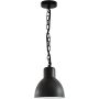 Polux ARNE 311924 Suspension lumineuse 1x10W/E27 IP44