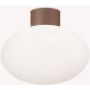 Ideal Lux CLIO 326795 Plafondlamp 1x42W/E27 ip44