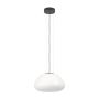 Eglo BALMES 390201 Hanglamp 1x40W/E27 IP20