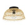 Eglo AUSNBY 43831 Plafondlamp 1x40W/E27 IP20