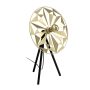 Eglo CASTANUELO 43808 Lampe de table 1x40W/E27 IP20