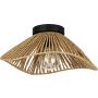 Eglo LAVISTER 44071 Plafondlamp 1x60w/e27 ip20