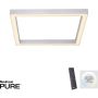 Paul Neuhaus PURE-LINES 6022-95 Plafondlamp 1x29W/LED 2700-5000k 2800lm ip20