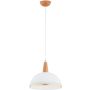 Alfa REYNO 61386 Hanglamp 1x15W/E27