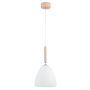 Alfa TAVOS 61209 Hanglamp 1x60W/E27 IP20