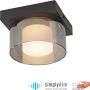 Paul Neuhaus RIKA 6162-18 Plafondlamp 1x6W/LED 3000k 680lm ip20