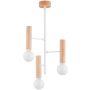 Alfa FLARA 62459 Plafondlamp 3x15W/E27