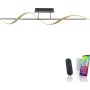 Paul Neuhaus Q-SWING 6385-13 Plafondlamp 1x28W/LED 2700-5000k 3100lm ip20