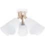 TK Lighting VAIO 666 Lampe de plafond 5x60W/E27