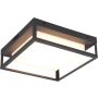 Trio WITHAM 677860142 Plafondlamp 1x14w/led 2300+3000+4000k 1550lm ip54