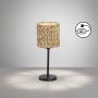 Fischer&Honsel Hyazinthe 50678 Lampe de table 1x25W/E14 IP20