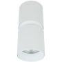 Zambelis CEILING SPOT S159 Spot en saillie 1x40w/GU10 IP20
