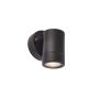 Endon PALIN 75434 Wandlamp 7W/GU10 IP44
