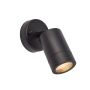 Endon PALIN 75436 Applique murale 7W/GU10 IP44