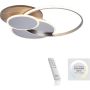 Paul Neuhaus PALMA 8328-79 Lampe de plafond 1x55W/LED 2700-5000k 6000lm ip20