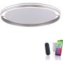 Paul Neuhaus Q-VITO 8418-55 Plafonnier 1x65W/LED 2700-5000k 7000lm ip20