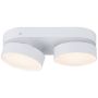 Lutec STANOS 8600502446 Plafondlamp 2x13.6w/led 2700K-6500K(CCT) 800lm ip20