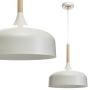 Milagro TAYLOR MLP6217 Hanglamp 1x60W/E27 IP20