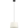 Eglo FEBRES 901262 Hanglamp 1x60w/e27 ip20
