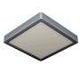 Eglo FUEVA 5 900591 Plafondlamp 1x17W/LED 3000K 2000LM IP20