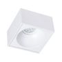 Eko-Light BALI ML0077 Inbouwspot 1x50W/GU10 IP20